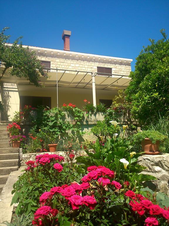 Antun Mozara Family House Bed and Breakfast Slano Buitenkant foto