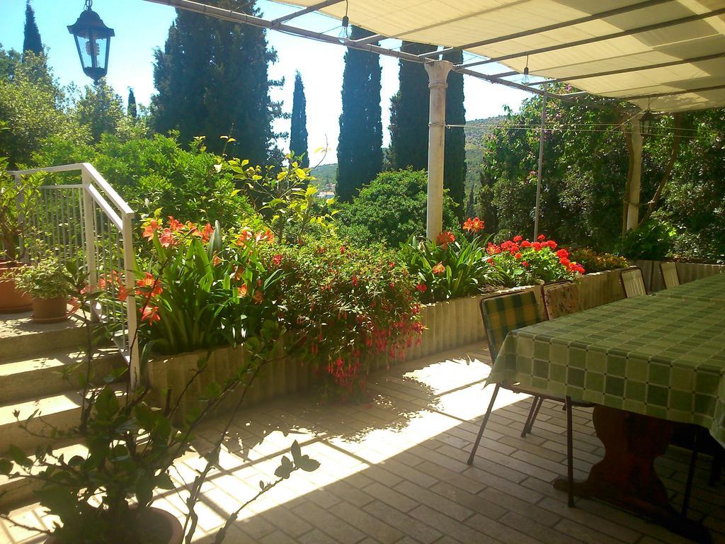 Antun Mozara Family House Bed and Breakfast Slano Buitenkant foto