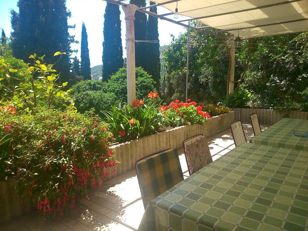 Antun Mozara Family House Bed and Breakfast Slano Buitenkant foto