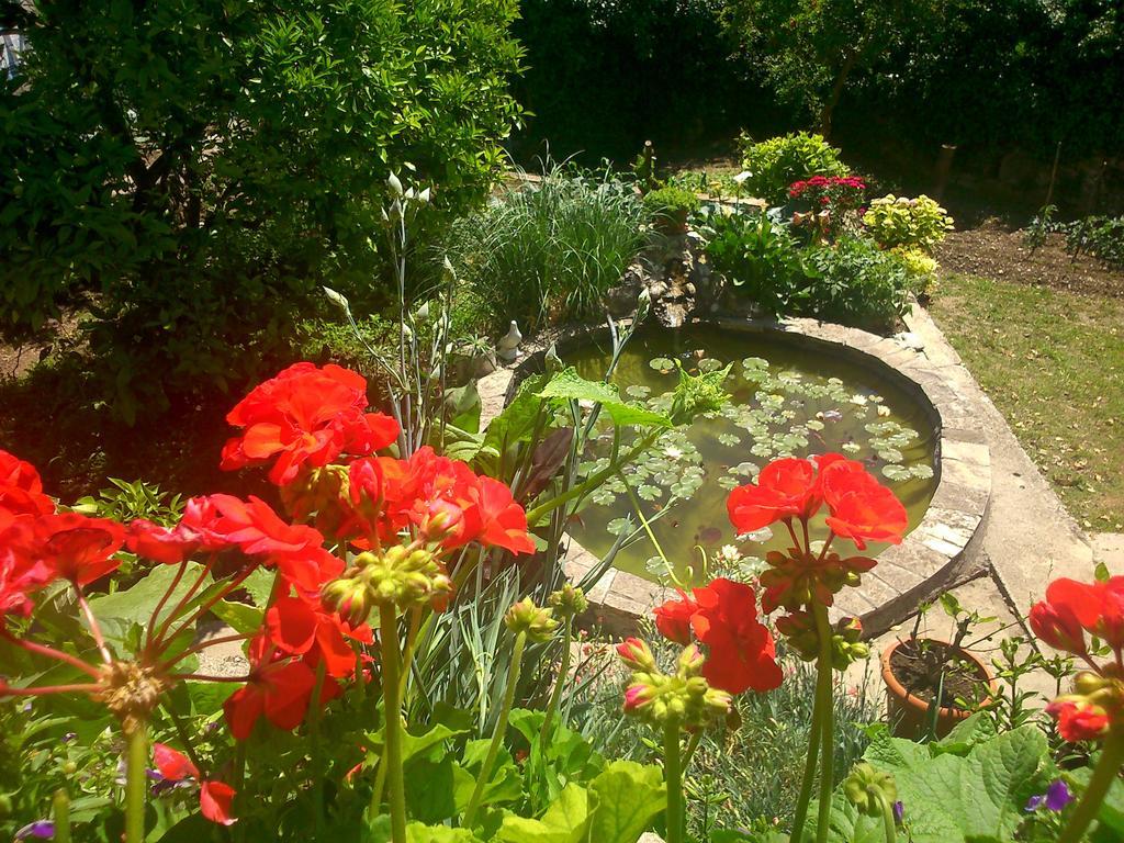 Antun Mozara Family House Bed and Breakfast Slano Buitenkant foto
