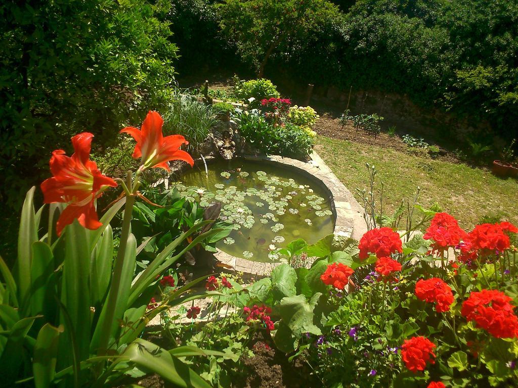Antun Mozara Family House Bed and Breakfast Slano Buitenkant foto