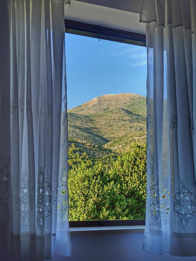 Antun Mozara Family House Bed and Breakfast Slano Buitenkant foto