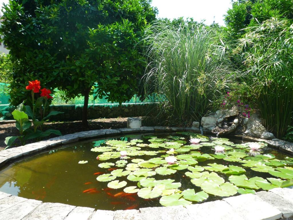 Antun Mozara Family House Bed and Breakfast Slano Buitenkant foto