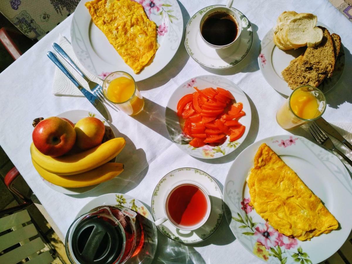 Antun Mozara Family House Bed and Breakfast Slano Buitenkant foto