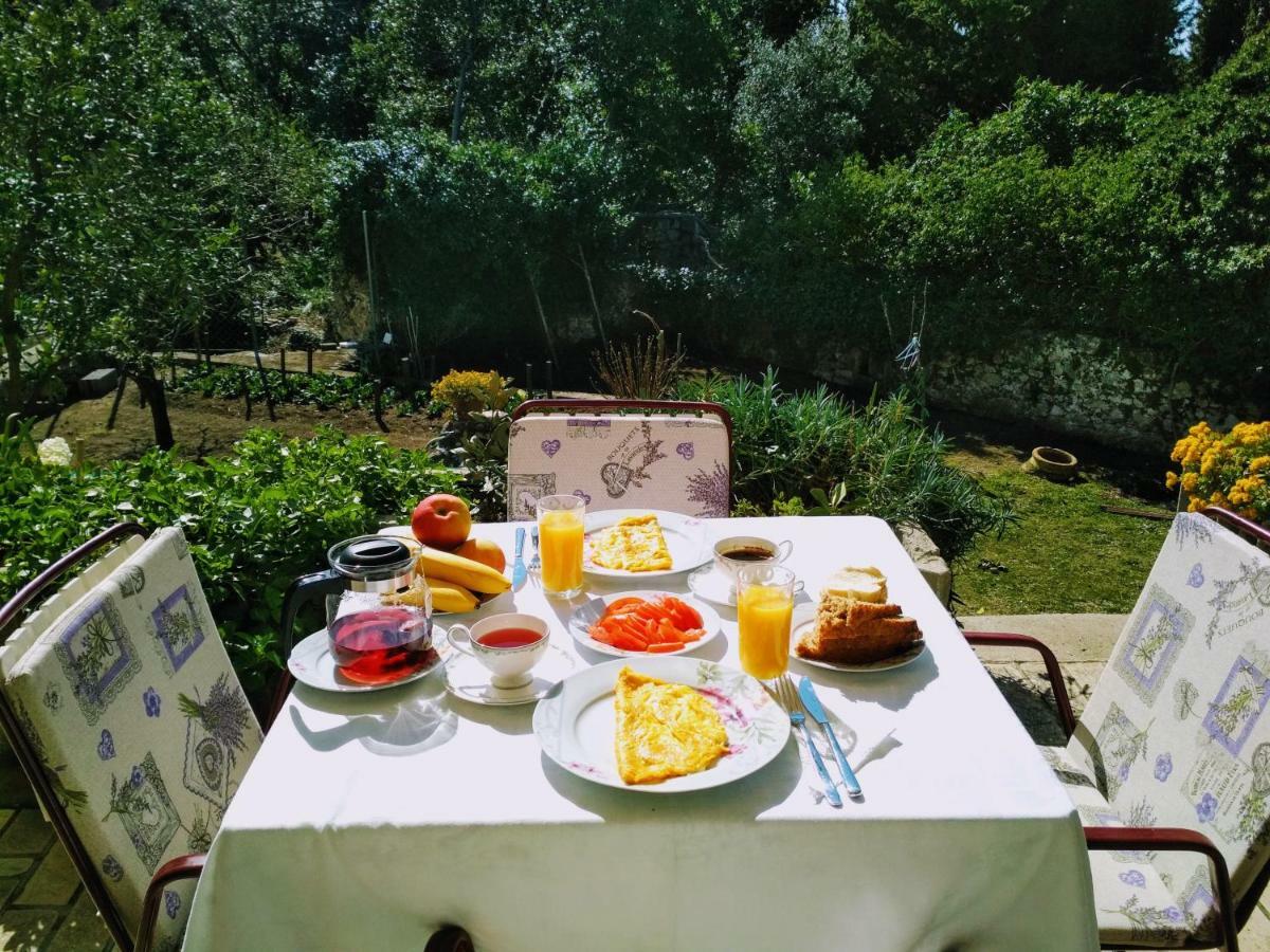 Antun Mozara Family House Bed and Breakfast Slano Buitenkant foto