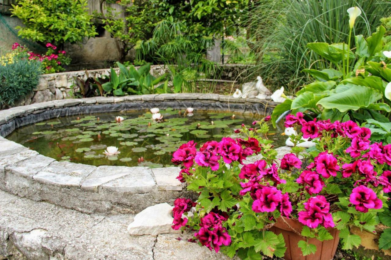 Antun Mozara Family House Bed and Breakfast Slano Buitenkant foto