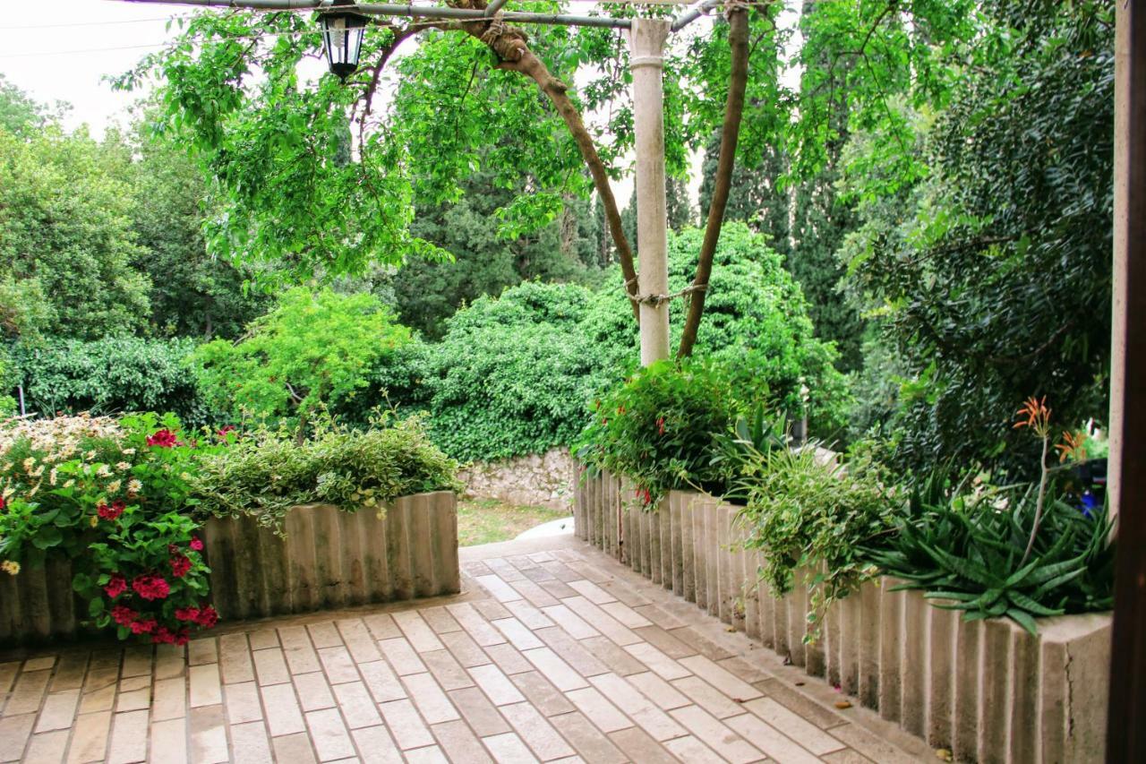 Antun Mozara Family House Bed and Breakfast Slano Buitenkant foto