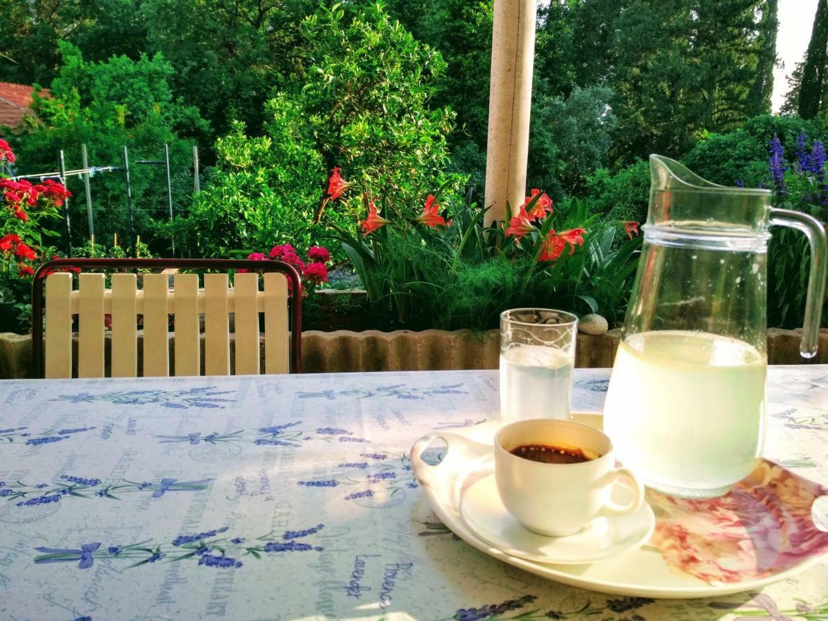 Antun Mozara Family House Bed and Breakfast Slano Buitenkant foto