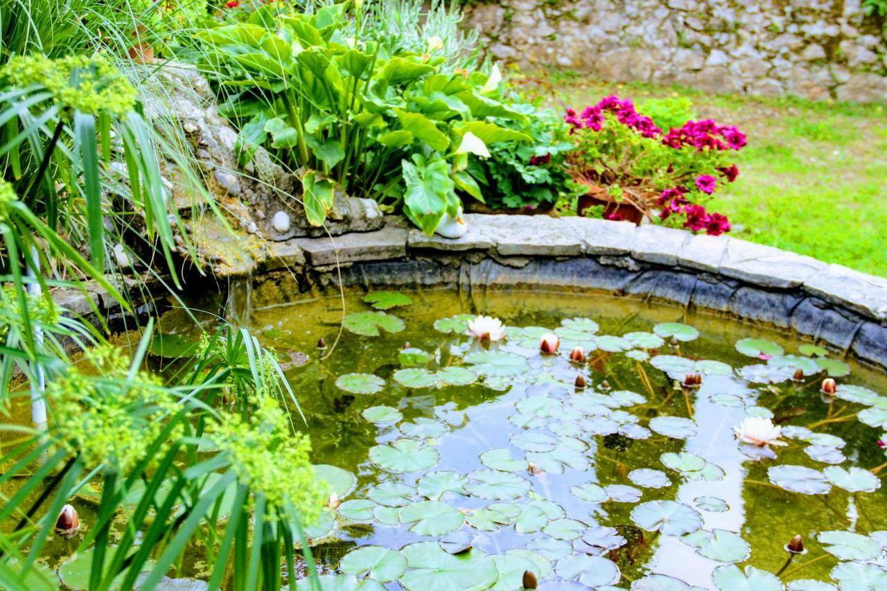 Antun Mozara Family House Bed and Breakfast Slano Buitenkant foto