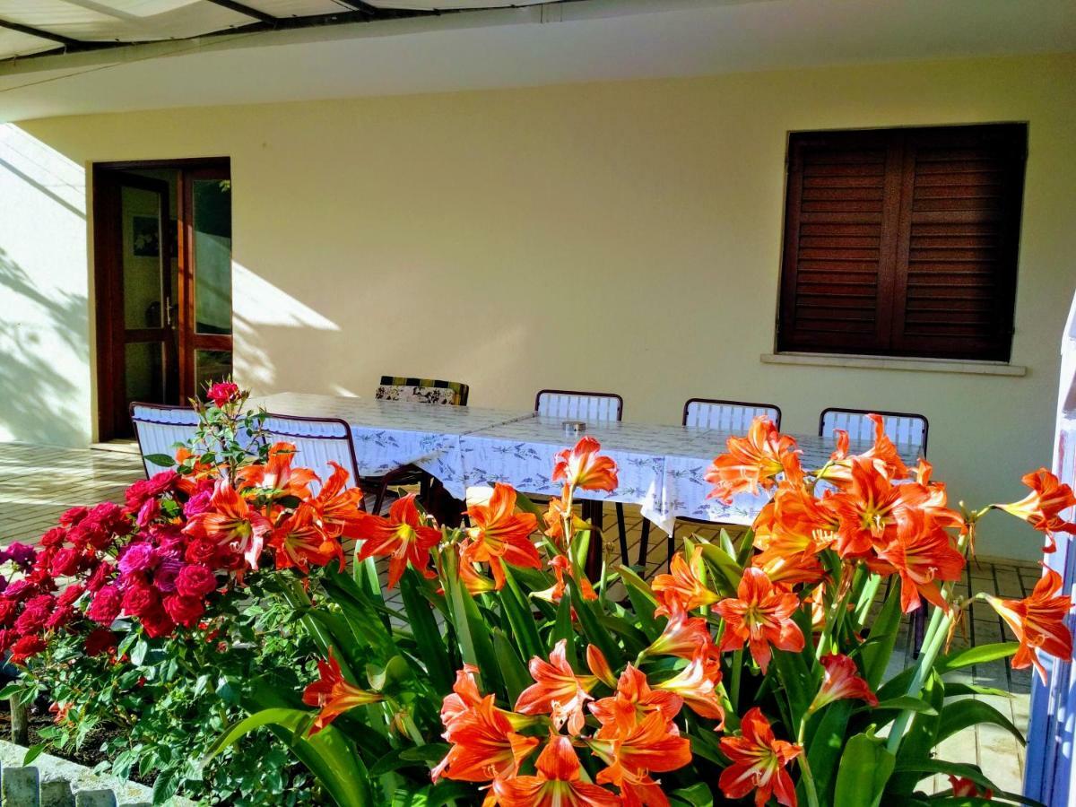 Antun Mozara Family House Bed and Breakfast Slano Buitenkant foto